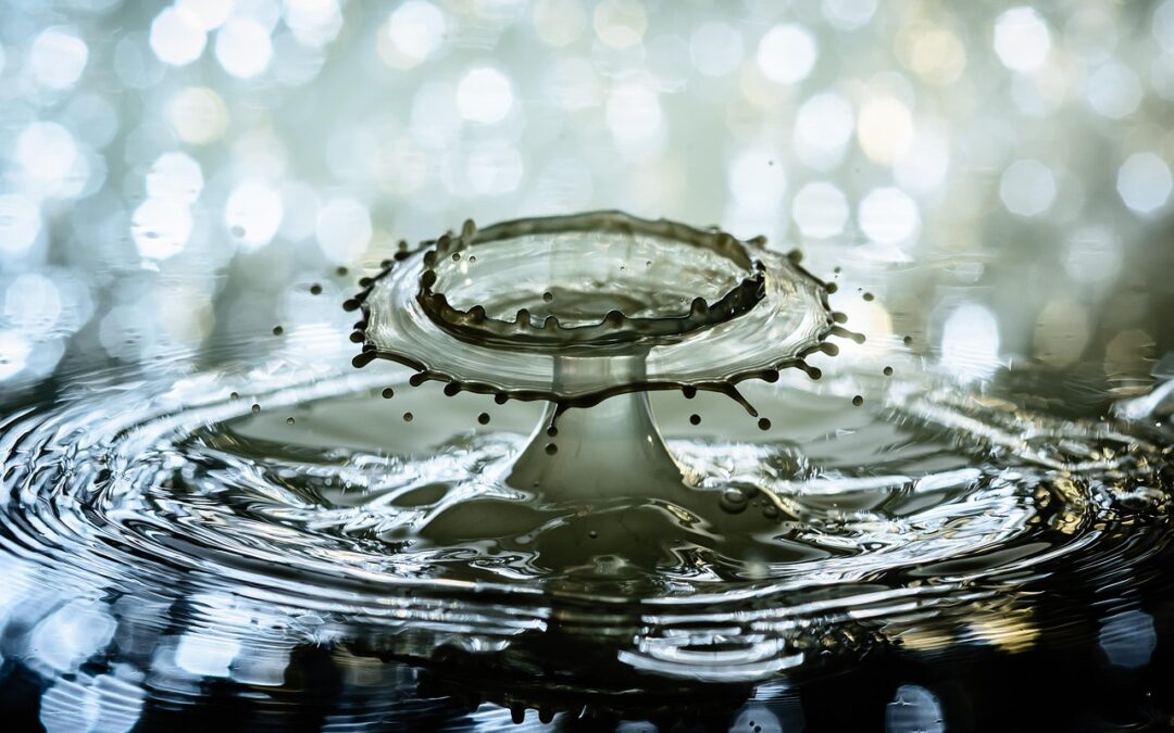 Csapadék megőrző technikák a gazdaságban: hogyan óvjuk a vizet a talajban?